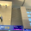 타슈켄트 | 티웨이 항공 비즈니스 인천-타슈켄트 후기