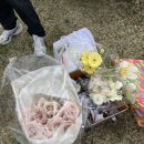 동행 | 부산 야외스냅 헬퍼 [헬퍼시스] 동행 후기