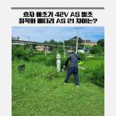 효자농장 | 효자 예초기 42V AS 벌초 최적화 배터리 AS 21 차이는?(브러쉬리모터, HJ-WW42V)