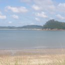 이태백야영장 이미지