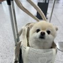 (주)베베와 이미지