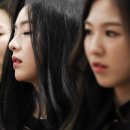 아이린헤어 이미지