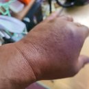 정만농장 이미지