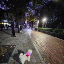 초긍정샵 이미지