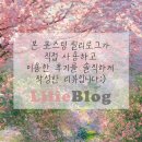 동의송도약국 | [송도 유일의 바우처 치료안마]강한 압으로 속근육...안마센터 송도 힐리타임안마원 임산부 솔직 방문 후기