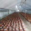 이희철농장 이미지