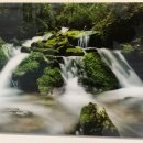 과천시민회관 이미지