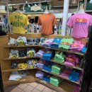 인애농장 | 하와이 여행코스 추천! 돌 플랜테이션(Dole plantation) 파인애플 아이스크림→샥스코브 비치까지 하루...