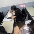 춤시詩 오딧세이 | 팔월도 끗