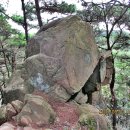 송전2구 Daum카페