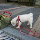 장학LH1단지 이미지