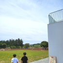 밭디이색자전거