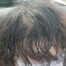 새로나미용실 이미지