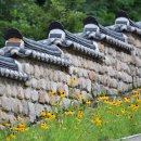 급벙. 오늘 7월 16일 목요일. "회룡사" 오후 2시. (P.14:00) 능소화.베롱꽃 인물담기. 이미지