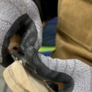 호근동마을회 이미지