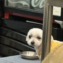 누나네솥뚜껑삼겹살 이미지