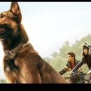 맥스(MAX) 이미지