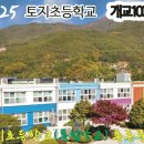 토지초등학교 이미지