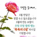 청동초등학교 이미지