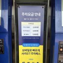 건강월드 | 경주월드 3월 봄맞이 페스타(할인 + 주차 꿀팁)오픈런 솔직후기