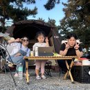아이랑 충남태안 어은돌오토캠핑장 후기🏕️