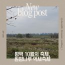 평택초등학교 | 2025 원평나루 억새축제 다녀온 후기
