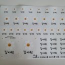 어린이집 필수품 네임스티커로 더그레이문