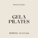 젤라 이미지
