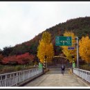 ♣ 가을라이딩_영천댐, 죽곡임도 2013-11-08 -① 이미지