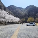 달이머무는집 이미지