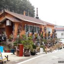 양지-3573 이미지