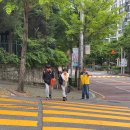 소일초 이미지