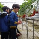 아이뜨리어린이집 이미지