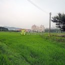 전좌로 이미지