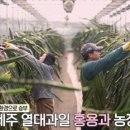 백용농장 이미지