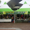 (사)광주광역시 지체장애인 협회 이미지