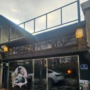 도자기 마음챙김 | 2025. 12. 10. 수. <Cats Parts>: 고양이 매력 조각전 - 도자기 워크숍: 고양이 달항아리 체험 후기