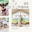 퇴로로 | 밀양 위양지 브런치카페 아뜰리에 애견동반 다녀온 후기