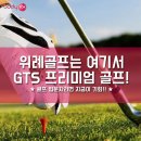 버디스크린 골프장 이미지