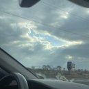 궁평항 수산물직판장 공중화장실 | 궁평항 수산물 직판장 후기｜서해마루 유스호스텔 가기 전 들른 코스