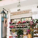 매일 꽃 이미지