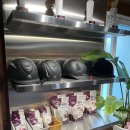 블루홀스 승마센터 | 애월 아이랑 가볼만한곳 제주 승마체험 더홀스승마센터