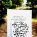 선지그리다