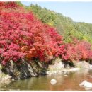 철암케어센터 이미지