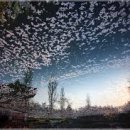 (주)조흥 이미지