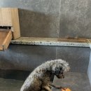 스테이더담 구미선산점 이미지