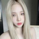 꾸뜨 네이버블로그