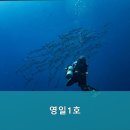 영일1호 네이버블로그