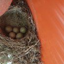 용담낚시터 이미지