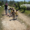 해안어린이집 이미지